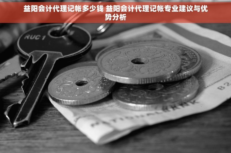 益阳会计代理记帐多少钱 益阳会计代理记帐专业建议与优势分析