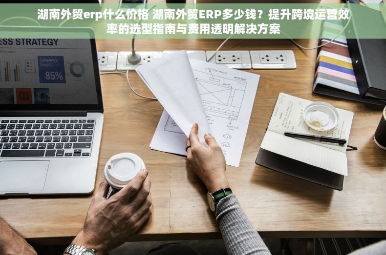 湖南外贸erp什么价格 湖南外贸ERP多少钱？提升跨境运营效率的选型指南与费用透明解决方案