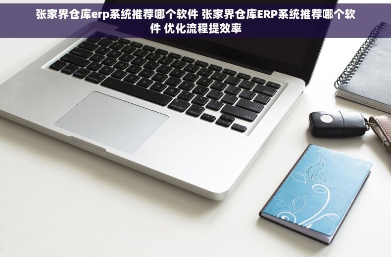 张家界仓库erp系统推荐哪个软件 张家界仓库ERP系统推荐哪个软件 优化流程提效率