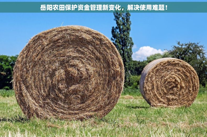 岳阳农田保护资金管理新变化，解决使用难题！