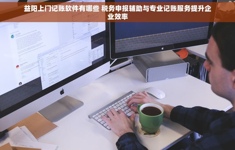 益阳上门记账软件有哪些 税务申报辅助与专业记账服务提升企业效率