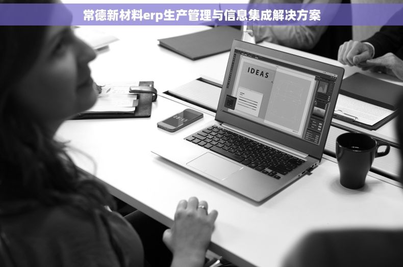 常德新材料erp生产管理与信息集成解决方案