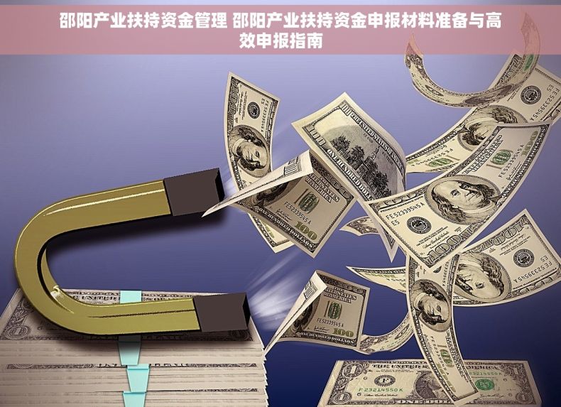 邵阳产业扶持资金管理 邵阳产业扶持资金申报材料准备与高效申报指南