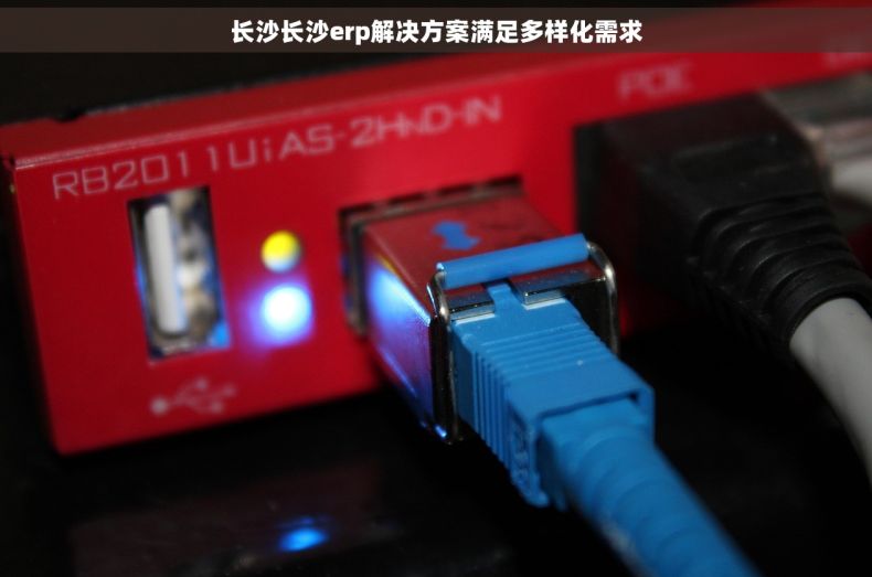 长沙长沙erp解决方案满足多样化需求
