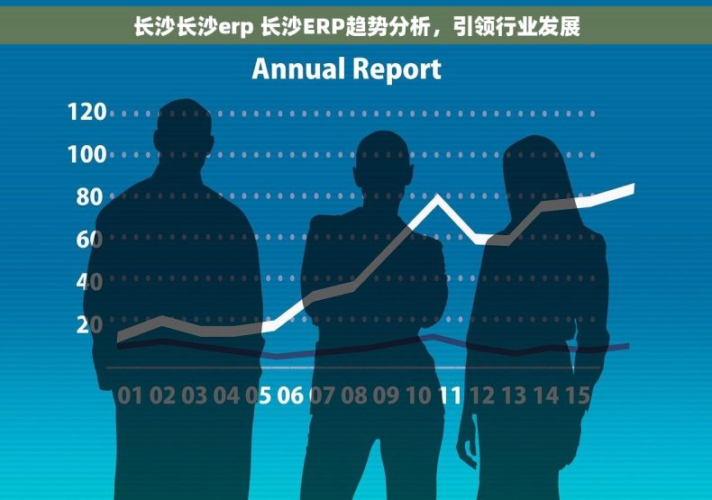 长沙长沙erp 长沙ERP趋势分析，引领行业发展