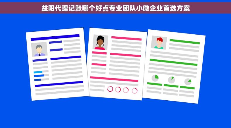 益阳代理记账哪个好点专业团队小微企业首选方案