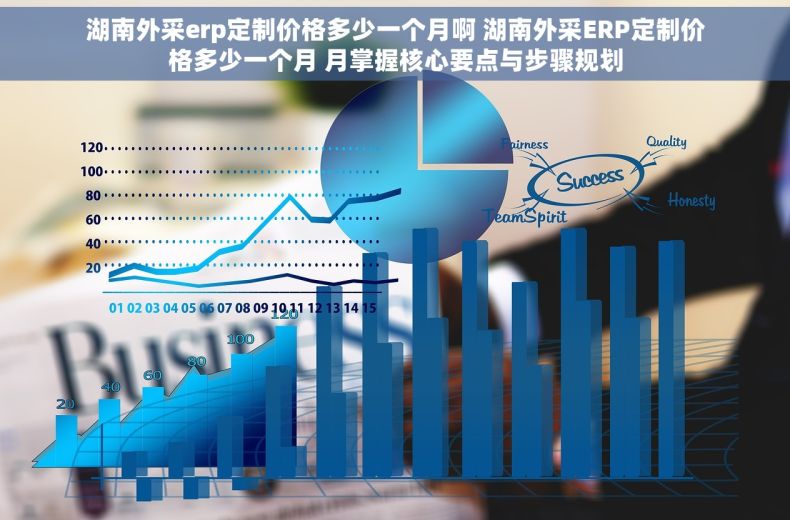 湖南外采erp定制价格多少一个月啊 湖南外采ERP定制价格多少一个月 月掌握核心要点与步骤规划