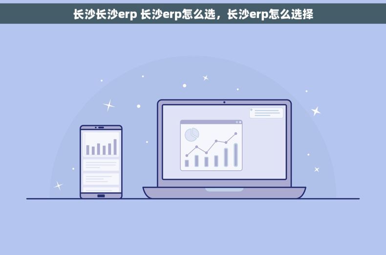 长沙长沙erp 长沙erp怎么选，长沙erp怎么选择