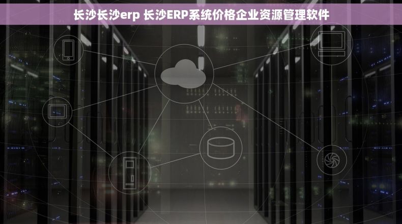 长沙长沙erp 长沙ERP系统价格企业资源管理软件