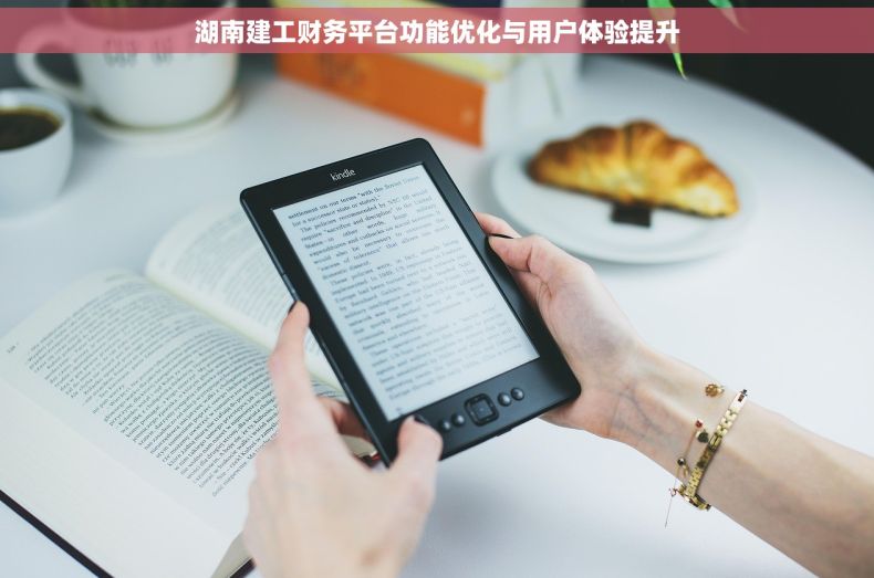 湖南建工财务平台功能优化与用户体验提升