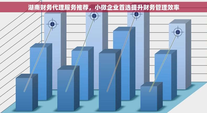 湖南财务代理服务推荐，小微企业首选提升财务管理效率
