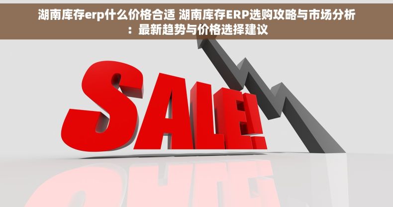 湖南库存erp什么价格合适 湖南库存ERP选购攻略与市场分析：最新趋势与价格选择建议