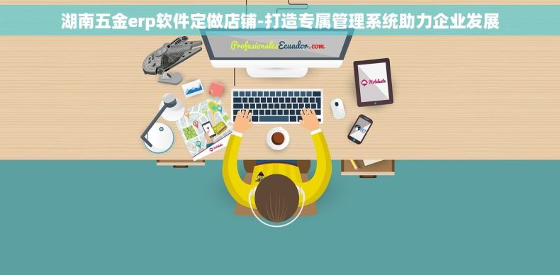 湖南五金erp软件定做店铺-打造专属管理系统助力企业发展