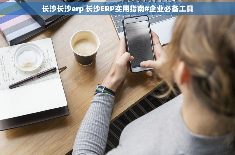 长沙长沙erp 长沙ERP实用指南#企业必备工具