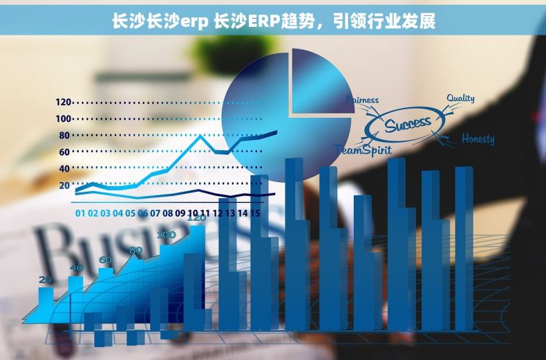 长沙长沙erp 长沙ERP趋势，引领行业发展