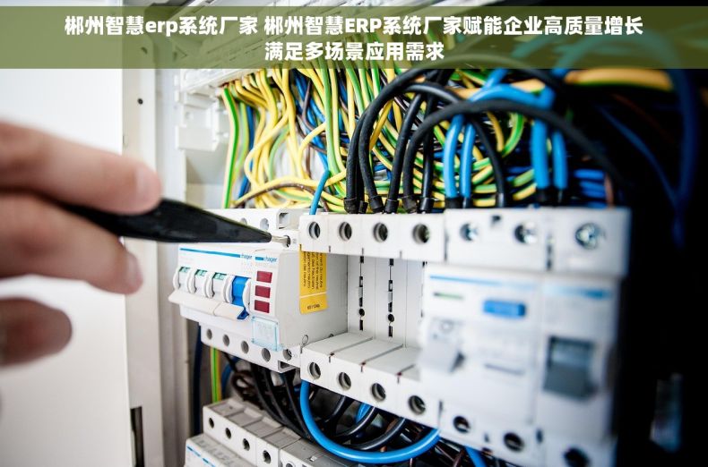郴州智慧erp系统厂家 郴州智慧ERP系统厂家赋能企业高质量增长满足多场景应用需求