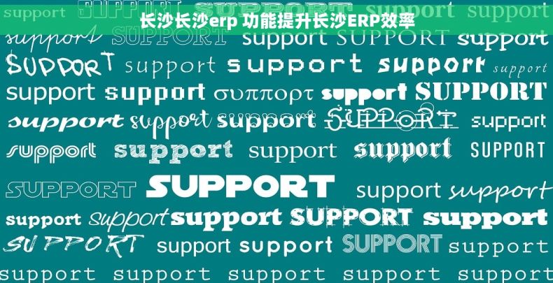 长沙长沙erp 功能提升长沙ERP效率