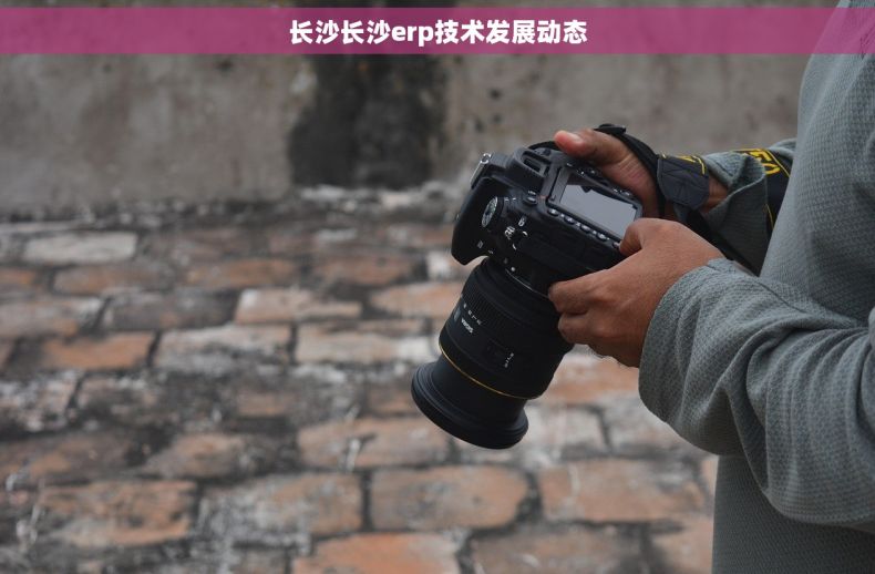 长沙长沙erp技术发展动态