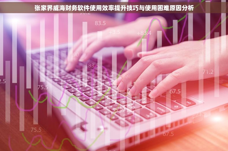 张家界威海财务软件使用效率提升技巧与使用困难原因分析