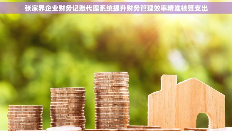 张家界企业财务记账代理系统提升财务管理效率精准核算支出