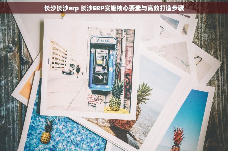 长沙长沙erp 长沙ERP实施核心要素与高效打造步骤