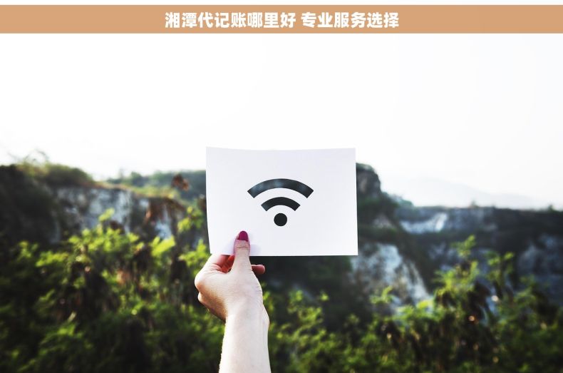 湘潭代记账哪里好 专业服务选择