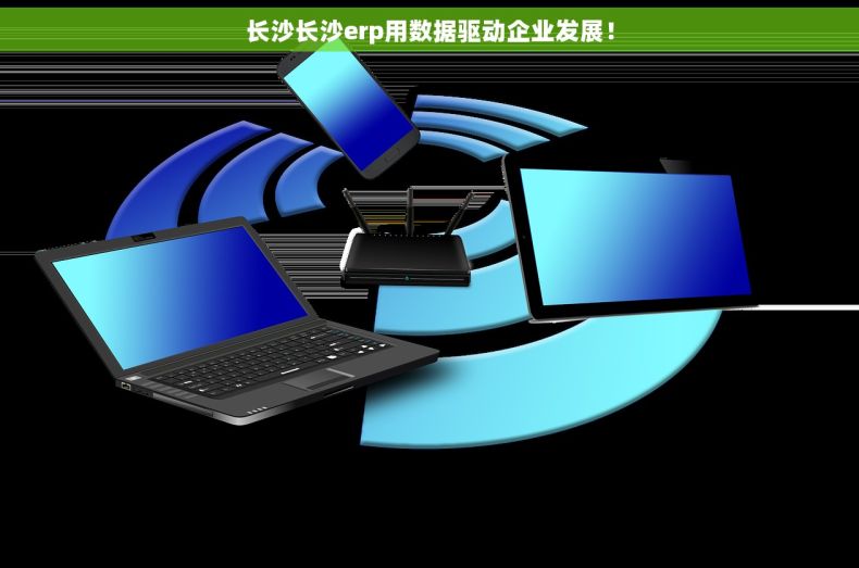 长沙长沙erp用数据驱动企业发展！