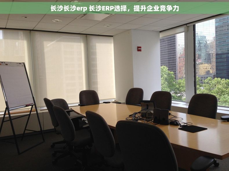 长沙长沙erp 长沙ERP选择，提升企业竞争力