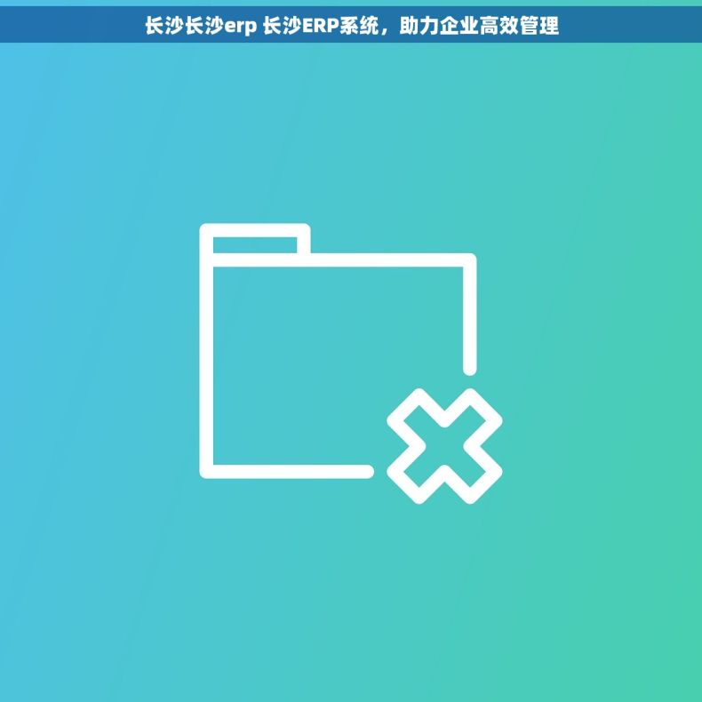 长沙长沙erp 长沙ERP系统，助力企业高效管理