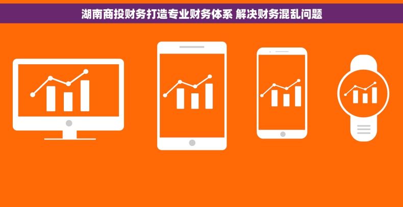 湖南商投财务打造专业财务体系 解决财务混乱问题