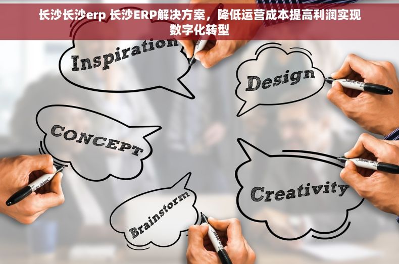 长沙长沙erp 长沙ERP解决方案，降低运营成本提高利润实现数字化转型