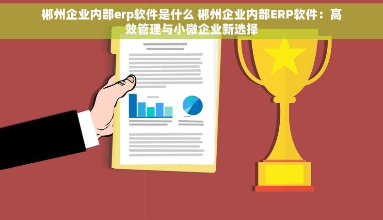郴州企业内部erp软件是什么 郴州企业内部ERP软件：高效管理与小微企业新选择