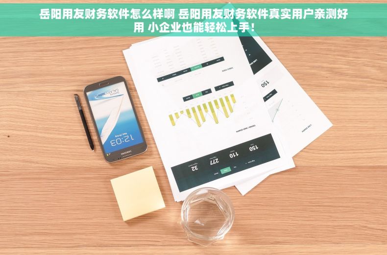 岳阳用友财务软件怎么样啊 岳阳用友财务软件真实用户亲测好用 小企业也能轻松上手！
