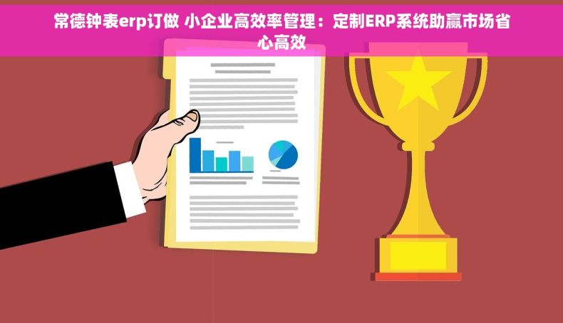 常德钟表erp订做 小企业高效率管理：定制ERP系统助赢市场省心高效