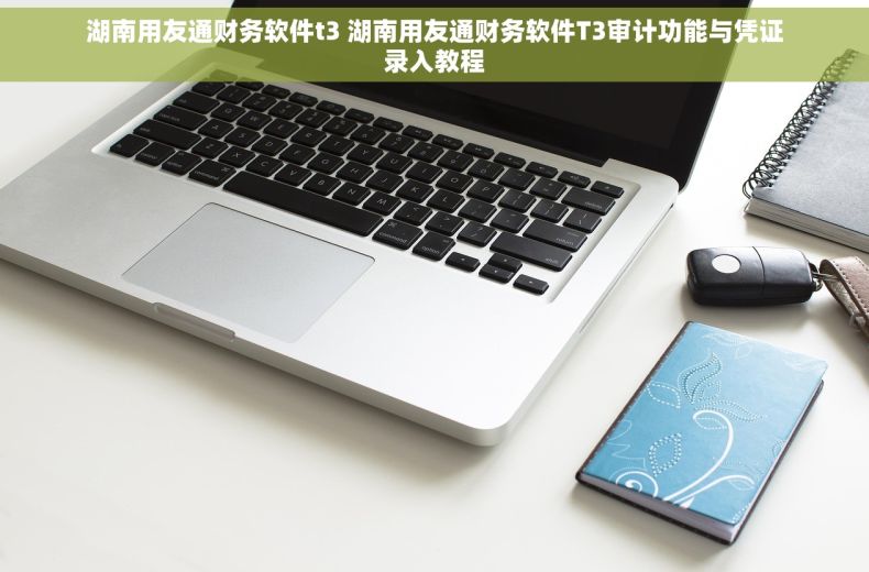 湖南用友通财务软件t3 湖南用友通财务软件T3审计功能与凭证录入教程