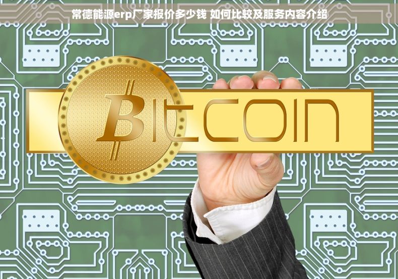 常德能源erp厂家报价多少钱 如何比较及服务内容介绍