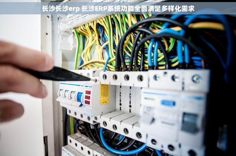 长沙长沙erp 长沙ERP系统功能全面满足多样化需求