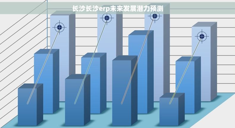 长沙长沙erp未来发展潜力预测