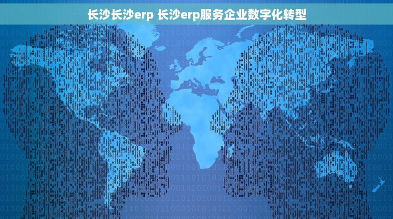长沙长沙erp 长沙erp服务企业数字化转型