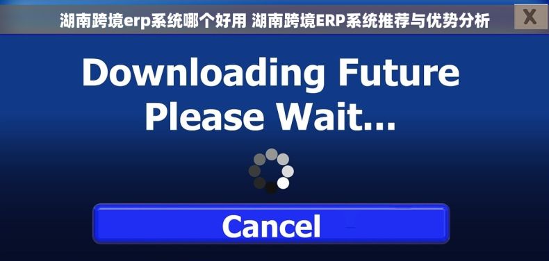 湖南跨境erp系统哪个好用 湖南跨境ERP系统推荐与优势分析