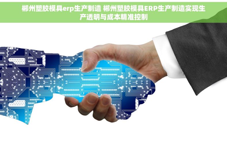 郴州塑胶模具erp生产制造 郴州塑胶模具ERP生产制造实现生产透明与成本精准控制