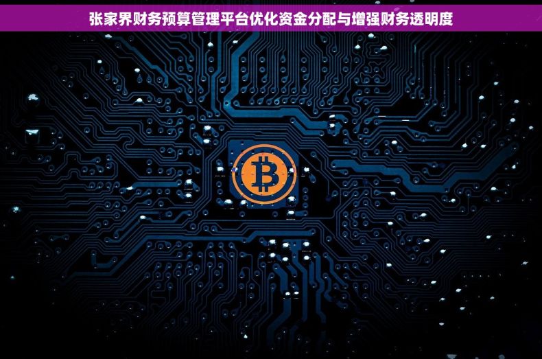 张家界财务预算管理平台优化资金分配与增强财务透明度
