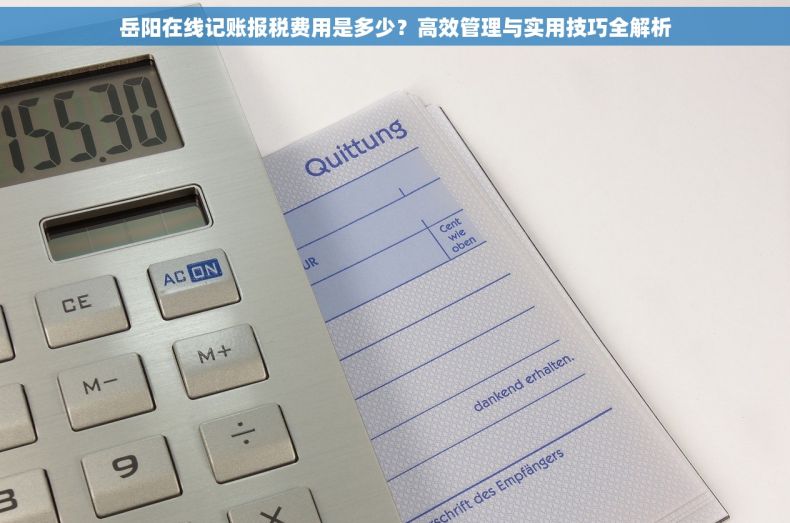 岳阳在线记账报税费用是多少？高效管理与实用技巧全解析