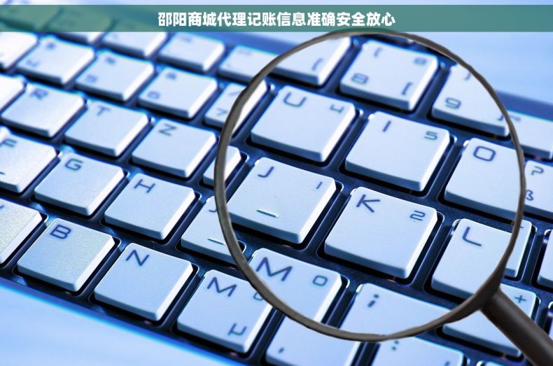 邵阳商城代理记账信息准确安全放心