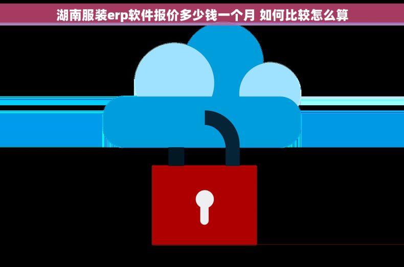 湖南服装erp软件报价多少钱一个月 如何比较怎么算