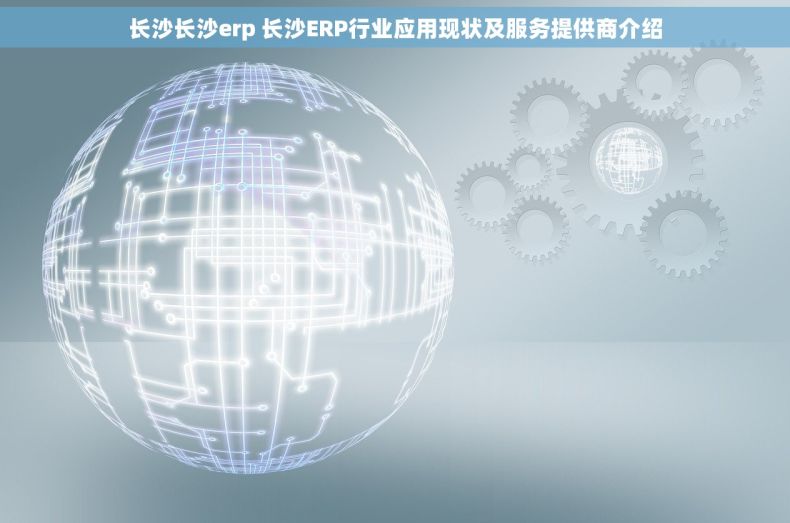 长沙长沙erp 长沙ERP行业应用现状及服务提供商介绍