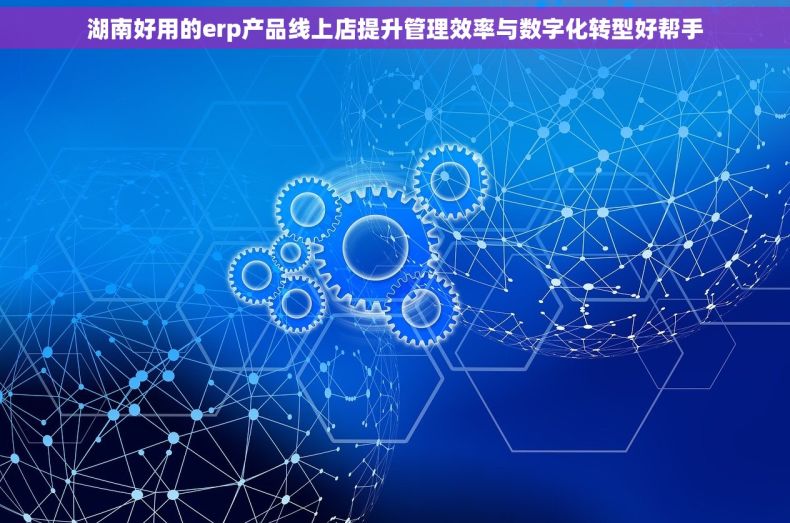 湖南好用的erp产品线上店提升管理效率与数字化转型好帮手