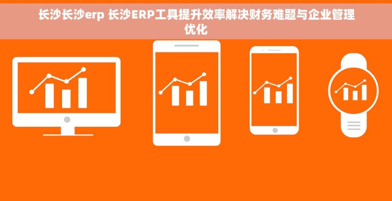 长沙长沙erp 长沙ERP工具提升效率解决财务难题与企业管理优化