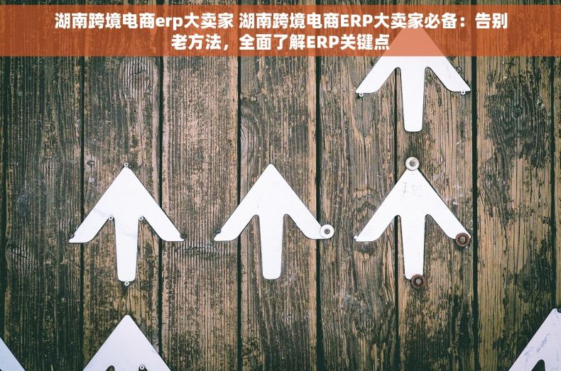 湖南跨境电商erp大卖家 湖南跨境电商ERP大卖家必备：告别老方法，全面了解ERP关键点