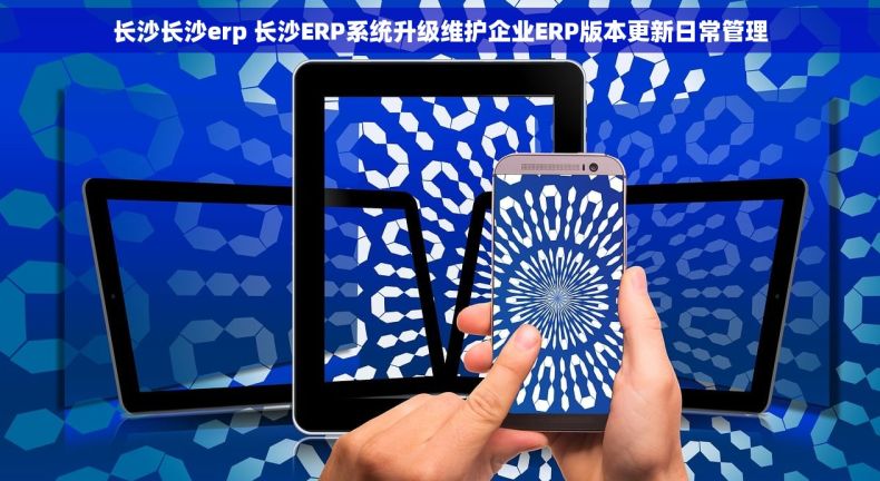 长沙长沙erp 长沙ERP系统升级维护企业ERP版本更新日常管理